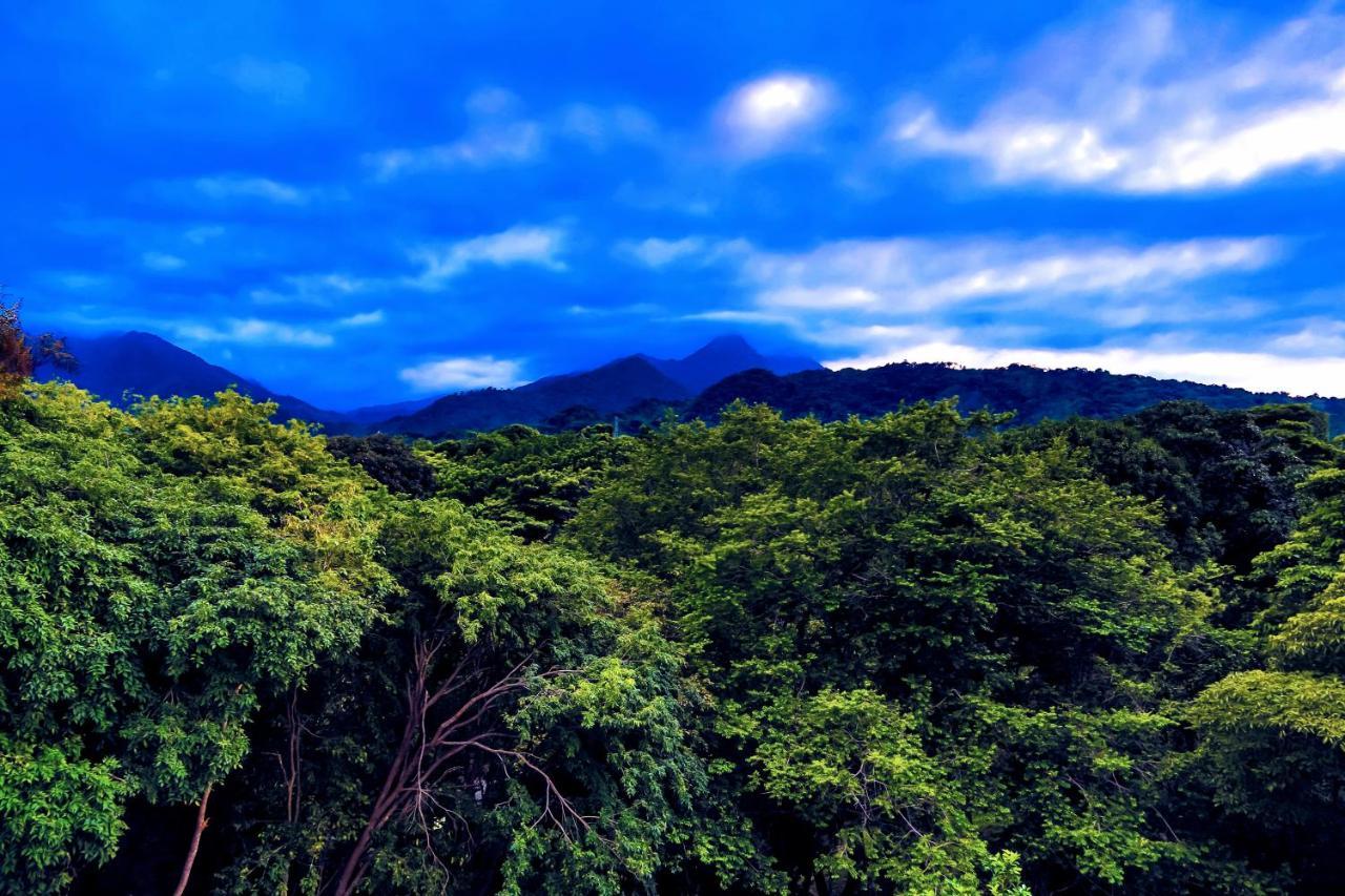 Villa Maria Tayrona, Jungle And Sea Experience Los Naranjos Buitenkant foto