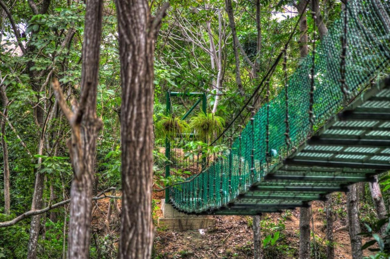 Villa Maria Tayrona, Jungle And Sea Experience Los Naranjos Buitenkant foto