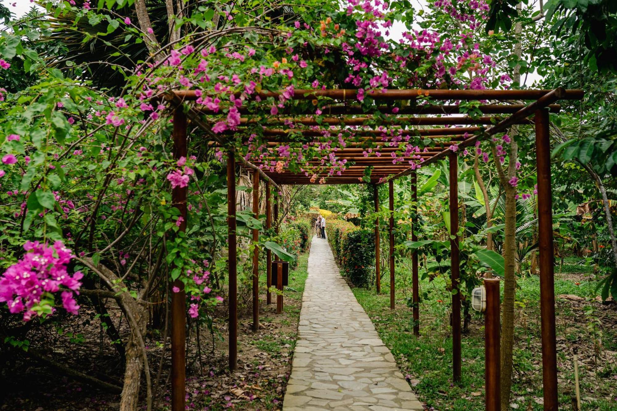 Villa Maria Tayrona, Jungle And Sea Experience Los Naranjos Buitenkant foto